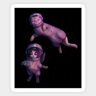 Space cats Sticker